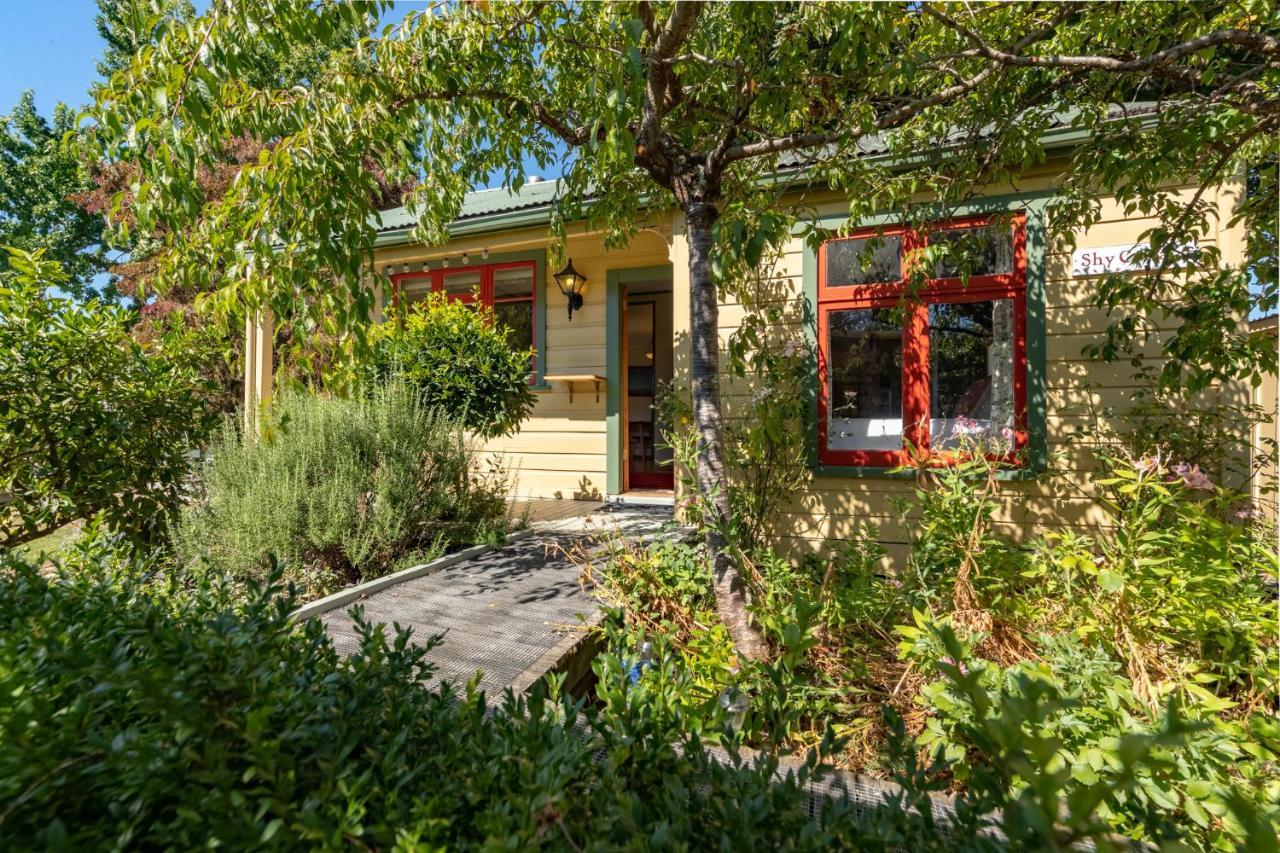Shy Cottage And Studio 格雷敦 外观 照片